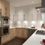 residential_project1_yaletownkitchen2