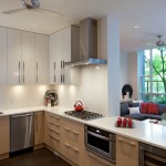 residential_project1_yaletownkitchen3
